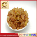 Hot Sale Best Quality Natural Dried Frame Raisin